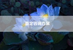 商定咨询方案