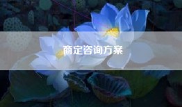 商定咨询方案