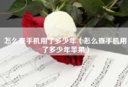 怎么查手机用了多少年（怎么查手机用了多少年苹果）