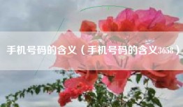 手机号码的含义(手机号码的含义3658)