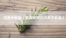 词典手机版（麦阿尼阿汉词典手机版）