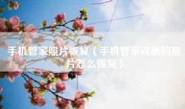 手机管家照片恢复（手机管家误删的照片怎么恢复）