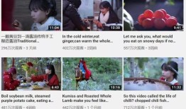 没有翻译却火遍全球，那个穿着粗布汉服干农活的李子柒是谁？