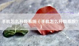手机怎么升级系统(手机怎么升级系统?)