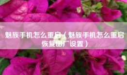 魅族手机怎么重启（魅族手机怎么重启恢复出厂设置）