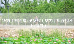 华为手机连接u没反应（华为手机连接不上u接口）