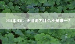 2021年SEO，关键词为什么不是唯一？