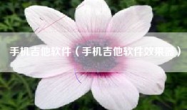 手机吉他软件（手机吉他软件效果器）