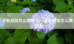 手机短信怎么撤回（vivo手机短信怎么撤回）