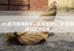 2025首发重磅新车，比亚迪唐L、汉L全新设计正式公布