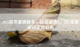 2025首发重磅新车，比亚迪唐L、汉L全新设计正式公布