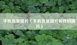 手机恢复图片（手机恢复图片和找回图片）