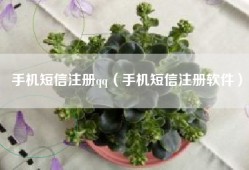 手机短信注册qq（手机短信注册软件）