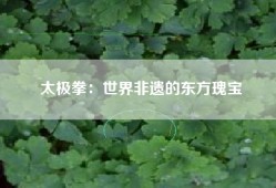 太极拳：世界非遗的东方瑰宝