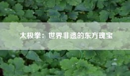 太极拳：世界非遗的东方瑰宝