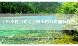 手机支付方式(手机支付方式都有哪些)
