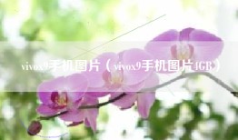 vivox9手机图片（vivox9手机图片4GB）
