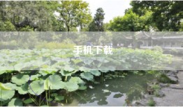 手机下载