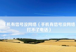 手机有信号没网络（手机有信号没网络打不了电话）