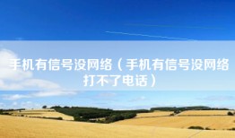 手机有信号没网络（手机有信号没网络打不了电话）