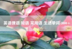 英语俚语 短语 常用语 生活单词 3000+