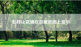 怎样让店铺在百度地图上显示