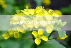 it是什么行业包括哪些
