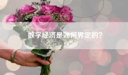 数字经济是如何界定的？