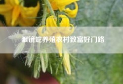 眼镜蛇养殖农村致富好门路