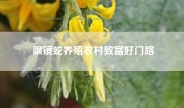 眼镜蛇养殖农村致富好门路