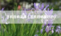 手机音响品牌（手机音响最好的）