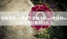 获取手机mac地址（获取手机mac地址和imei 别人可以看到什么）