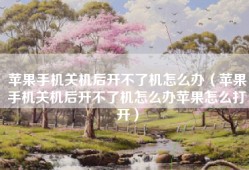 苹果手机关机后开不了机怎么办（苹果手机关机后开不了机怎么办苹果怎么打开）