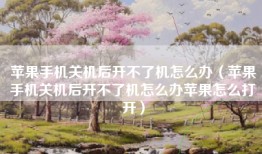 苹果手机关机后开不了机怎么办（苹果手机关机后开不了机怎么办苹果怎么打开）