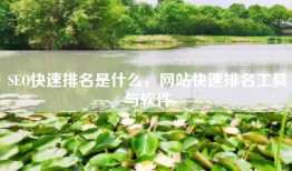 SEO快速排名是什么，网站快速排名工具与软件