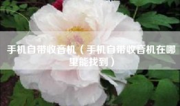 手机自带收音机（手机自带收音机在哪里能找到）