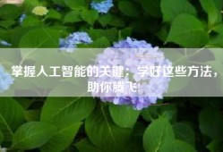 掌握人工智能的关键：学好这些方法，助你腾飞!