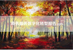 商务服务数字化转型报告.pptx