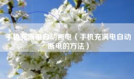 手机充满电自动断电（手机充满电自动断电的方法）
