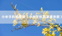 小米手机拍星星（小米手机拍星星参数）
