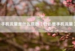 手机流量是什么意思（什么是手机流量）