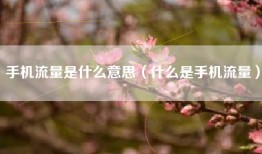手机流量是什么意思（什么是手机流量）