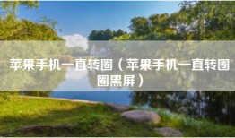 苹果手机一直转圈（苹果手机一直转圈圈黑屏）