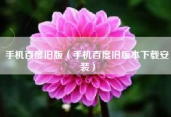 手机百度旧版（手机百度旧版本下载安装）