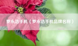 罗永浩手机（罗永浩手机品牌名称）