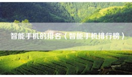 智能手机的排名（智能手机排行榜）