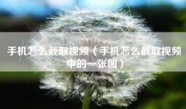 手机怎么截取视频（手机怎么截取视频中的一张图）
