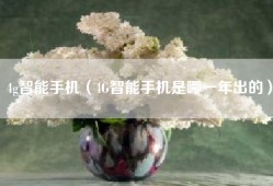 4g智能手机（4G智能手机是哪一年出的）