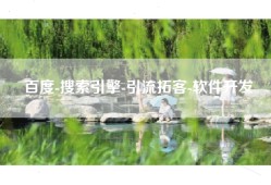百度-搜索引擎-引流拓客-软件开发