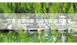 百度-搜索引擎-引流拓客-软件开发